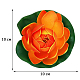 photo-2967625