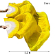 photo-2968516