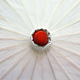 photo-2958773