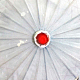 photo-2958817