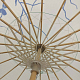 photo-2976701
