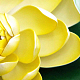 photo-2966836