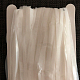 photo-2950634