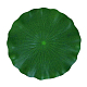 photo-2966621