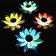 photo-2934015