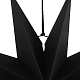 photo-2963670