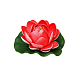 photo-2967577