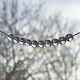 photo-2952038