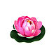 photo-2967598