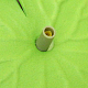 photo-2967579