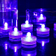 photo-2932159