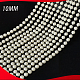 photo-2944224