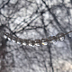 photo-2952012